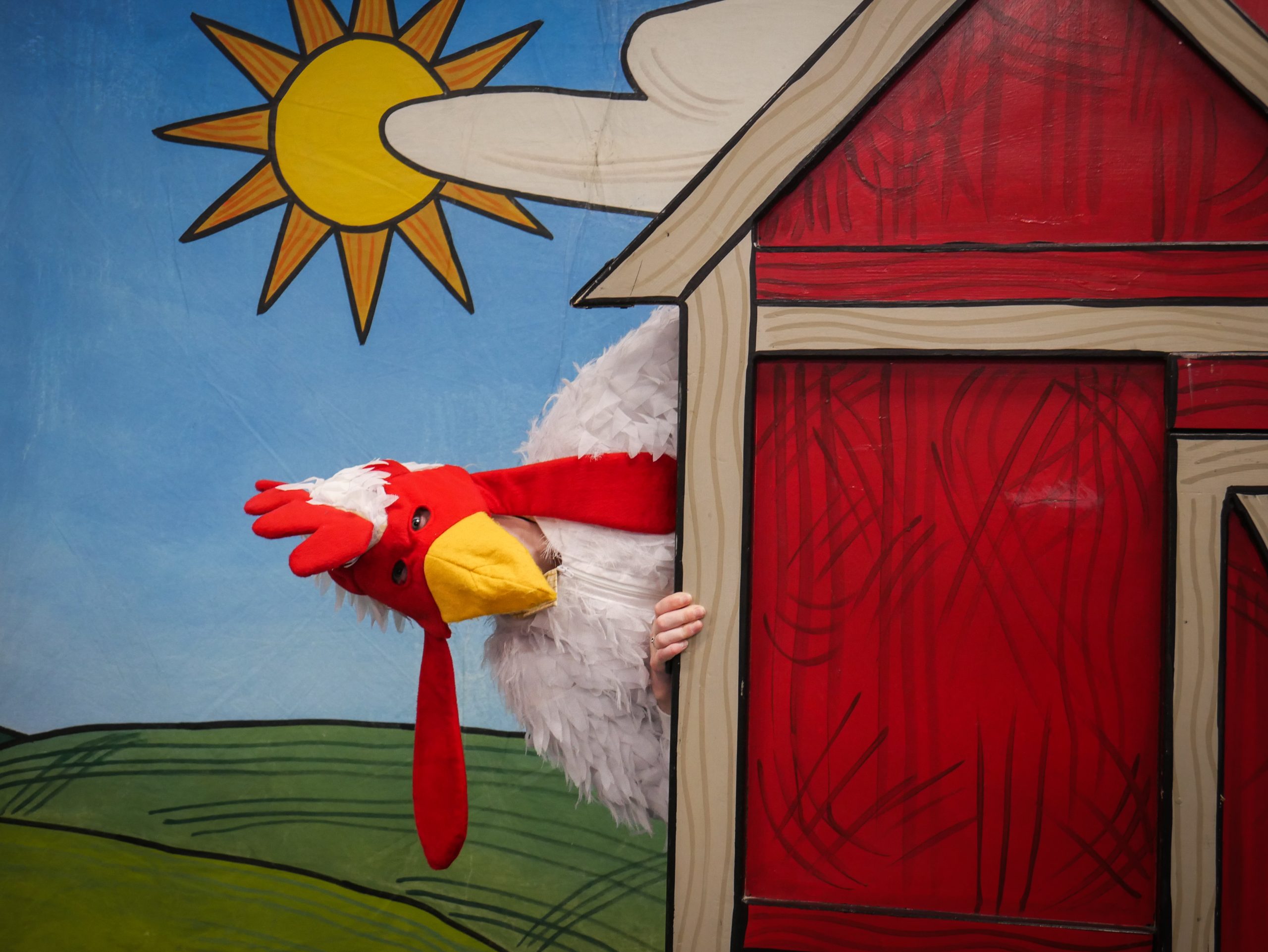 A chicken peeks out from behind a barn.
